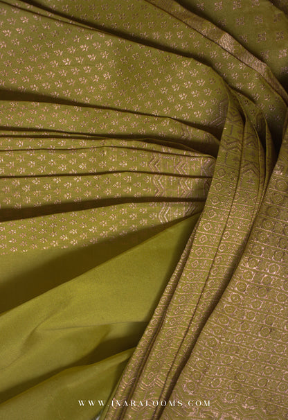 Yayati is Olive Yellow